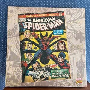 The Amazing Spider-Man Marvel canvas wall art